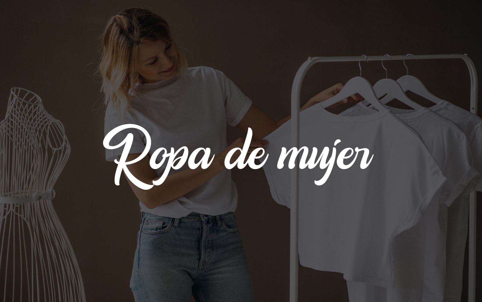 Imagen con enlace del cluster que redirige a la colección moda