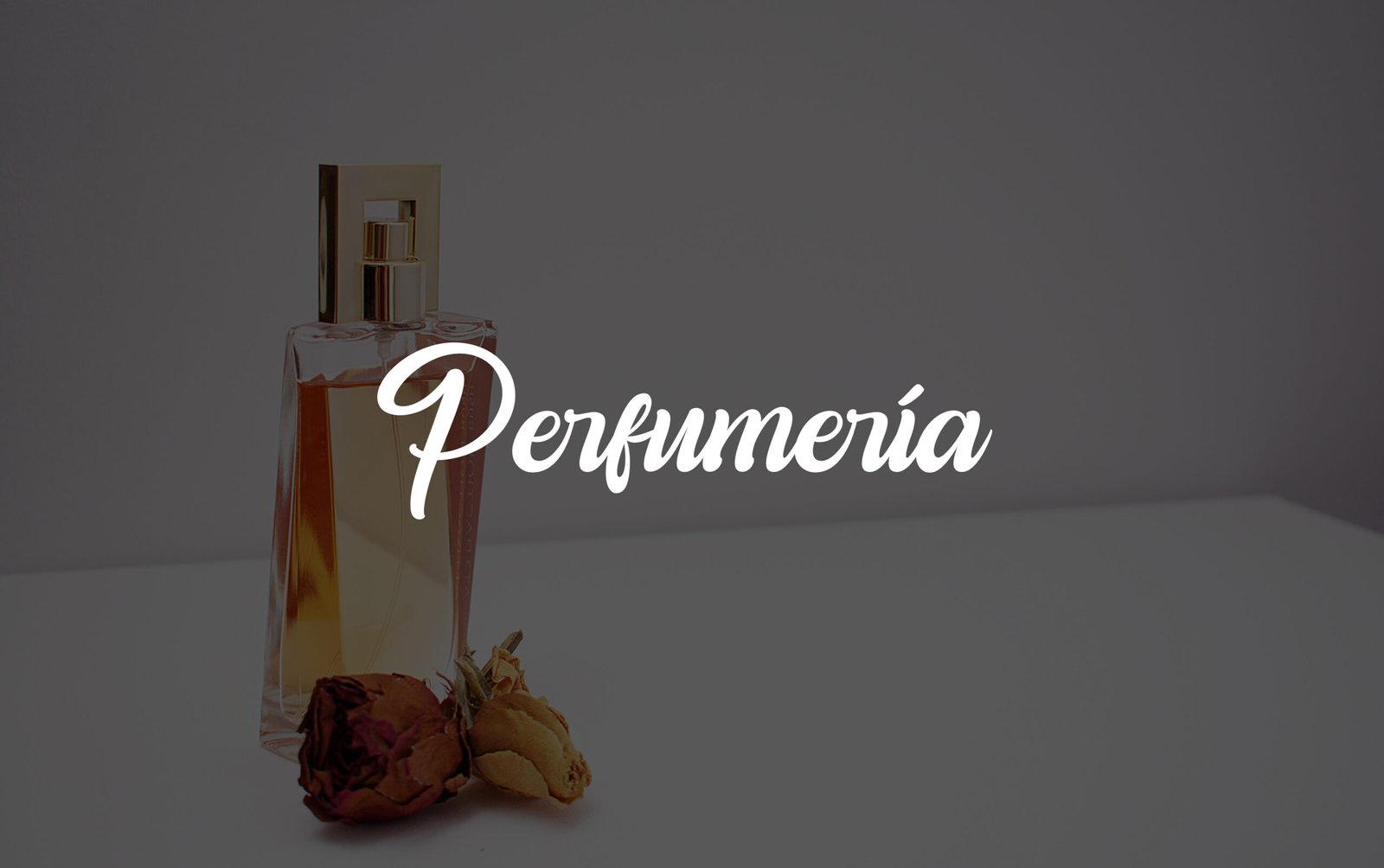 Enlace a página de perfumes