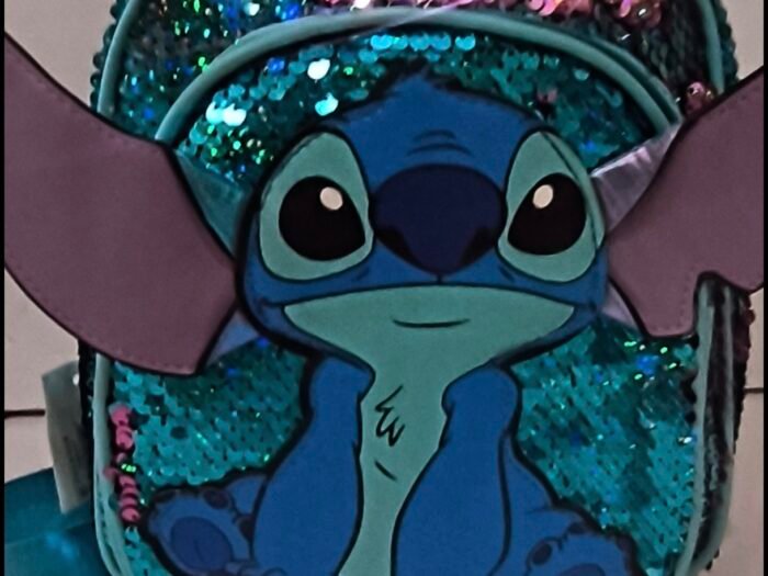 bolso mochila